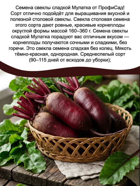 Наборы семян свеклы №2 семена 