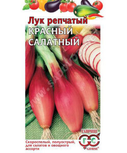 Лук Красный салатный на зелень (репчатый)