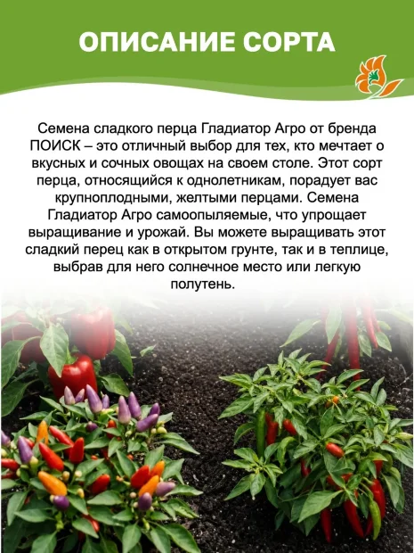 Перец сладкий Гладиатор Агро семена 