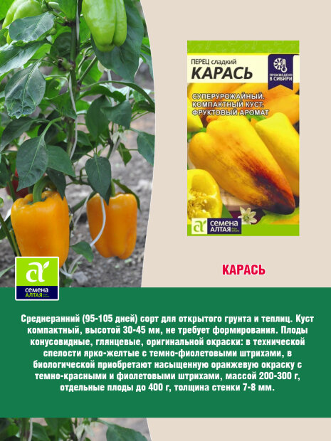 Перец сладкий Карась семена 