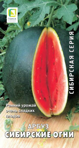 Арбуз Сибирские Огни