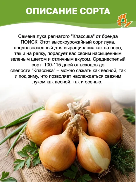 Лук репчатый Классика семена 