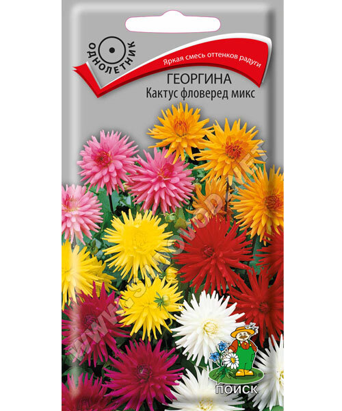 Георгина Кактус Фловеред Микс семена