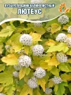 Пузыреплодник Лютеус (калинолистный) 