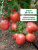 Томат Розовый Агат семена 