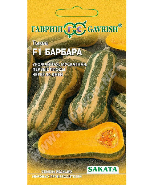 Тыква Барбара  F1 семена 