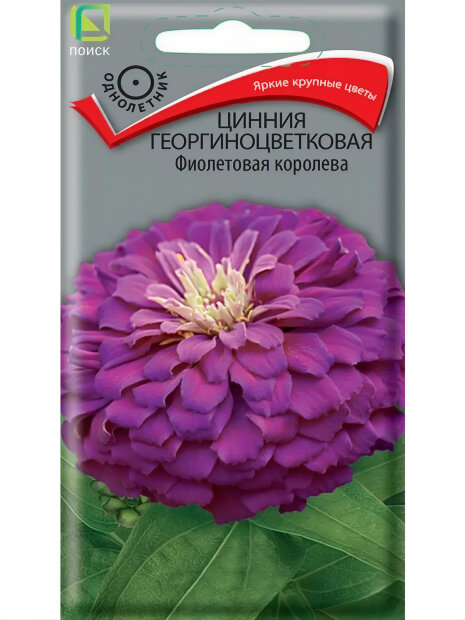 Цинния георгиноцветковая Фиолетовая Королева семена