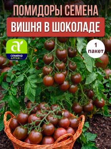 Томат Вишня в Шоколаде
