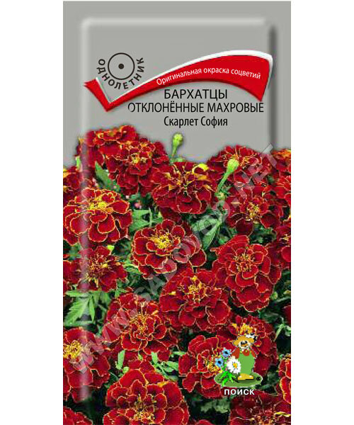 Бархатцы отклоненные махровые Скарлет София семена