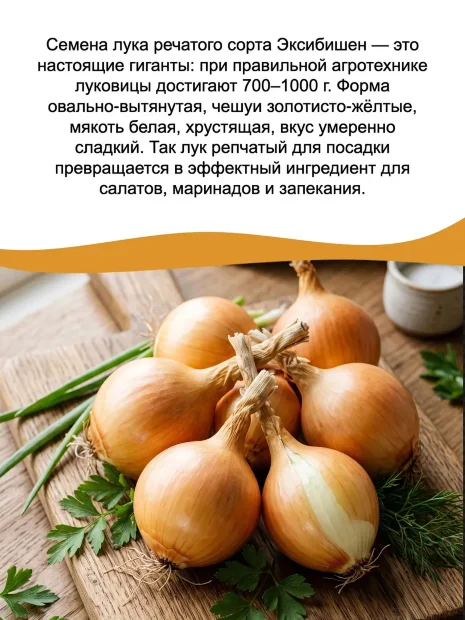 Лук репчатый Эксибишен семена 
