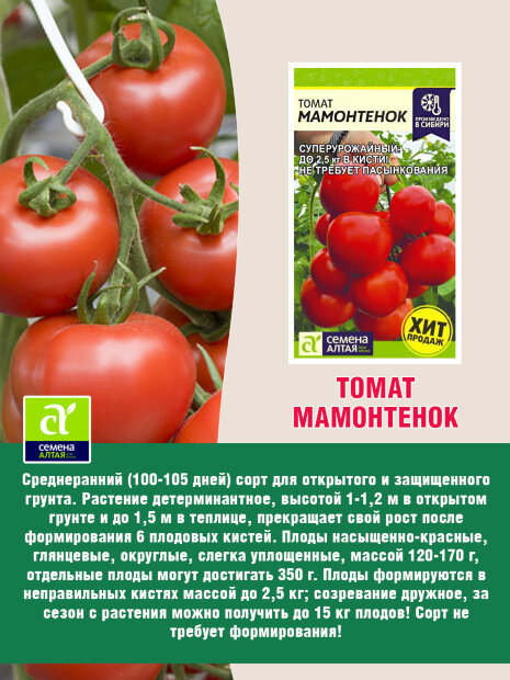 Томат Мамонтенок семена 