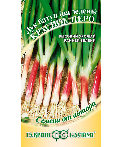 Лук Красное перо (на зелень) семена 