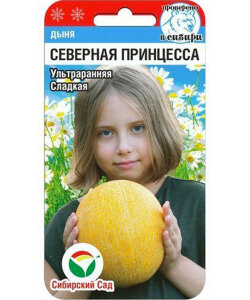 Дыня Северная Принцесса