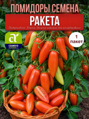 Томат Ракета